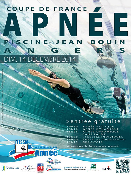 Affiche Angers 2014